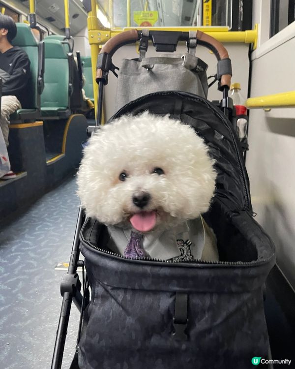 我都可以上車喇