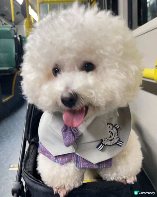 我都可以上車喇