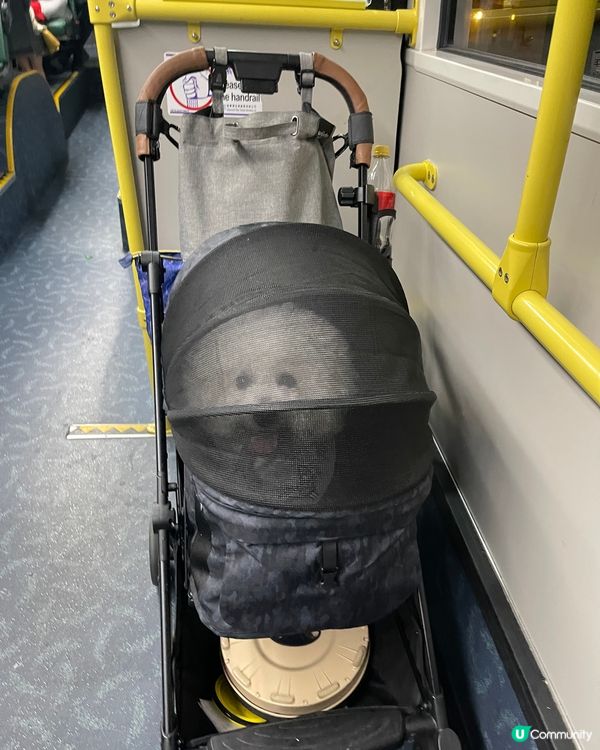 我都可以上車喇