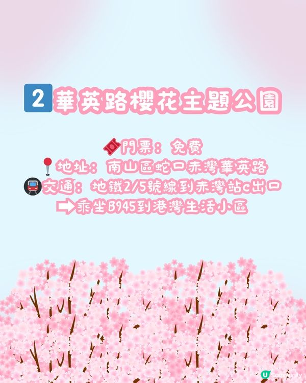 🌸深圳櫻花地圖 5大賞櫻地🌸