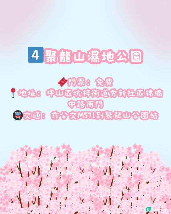 🌸深圳櫻花地圖 5大賞櫻地🌸