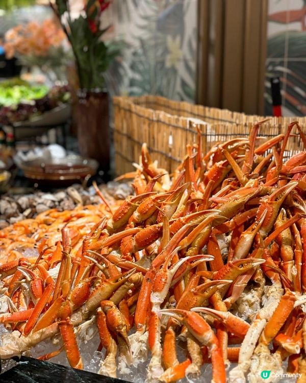 【沙田新城市】全新食到翻本嘅自助餐 任食飛驒和牛🐮新鮮生蠔🦪、冰鎮海鮮及50多款甜品🍰