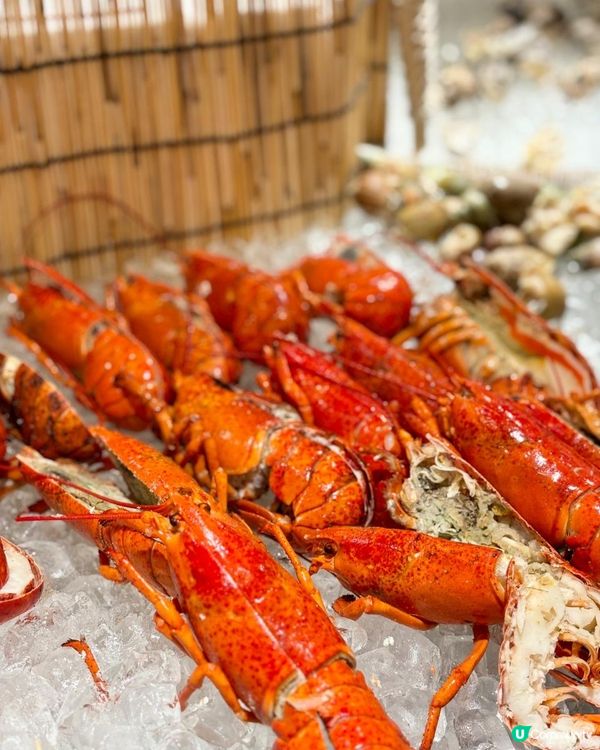 【沙田新城市】全新食到翻本嘅自助餐 任食飛驒和牛🐮新鮮生蠔🦪、冰鎮海鮮及50多款甜品🍰