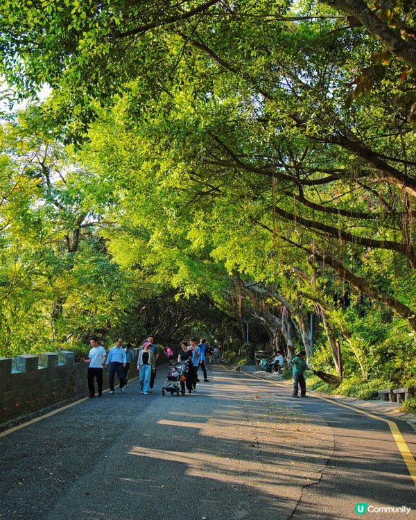 來深過大年，圳的很好玩——山海通廊新春旅遊路線推廣