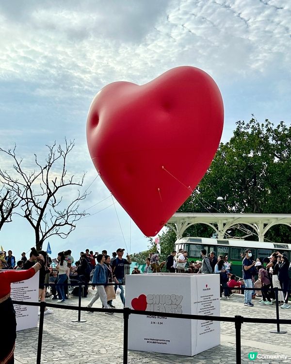 Chubby heart❤️comes to the Peak