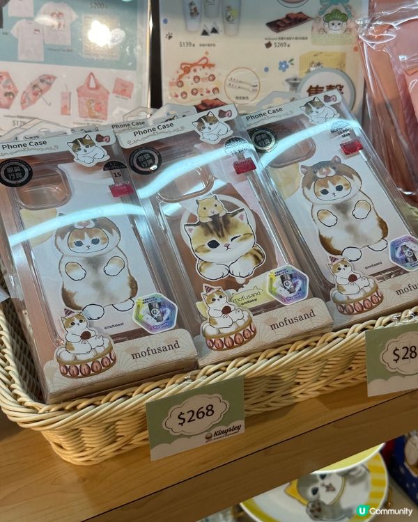 貓貓主題餐廳🐱