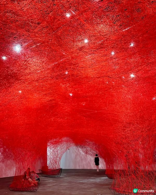 最後一週‼️ 兩度延長展期嘅深圳年度人氣免費展覽🎭