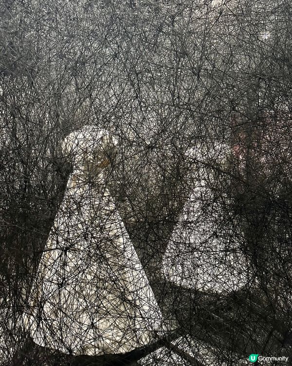 最後一週‼️ 兩度延長展期嘅深圳年度人氣免費展覽🎭