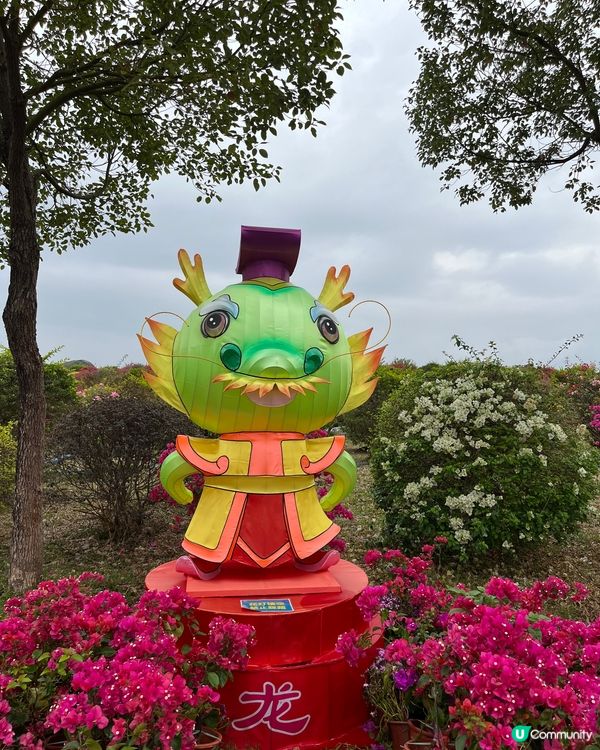 十二生肖（I）