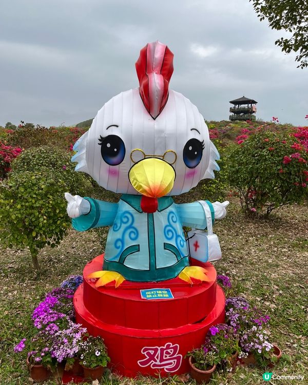十二生肖（I）