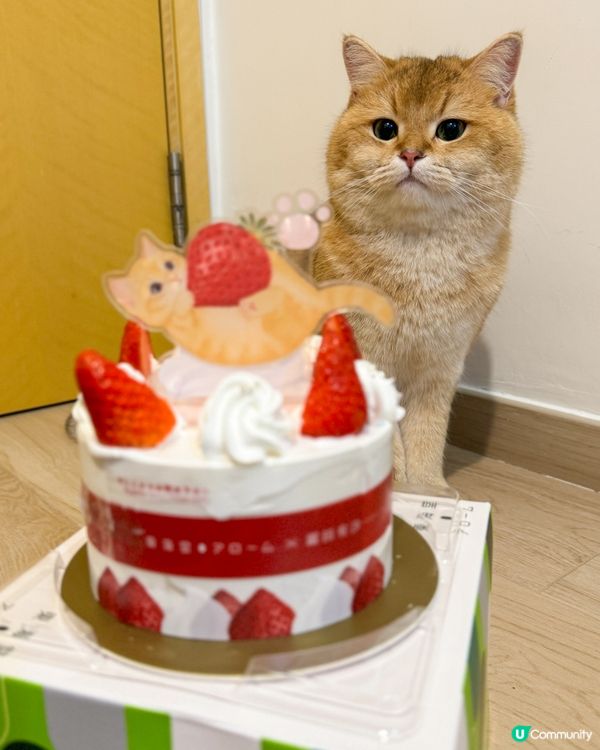 草莓蛋糕🎂