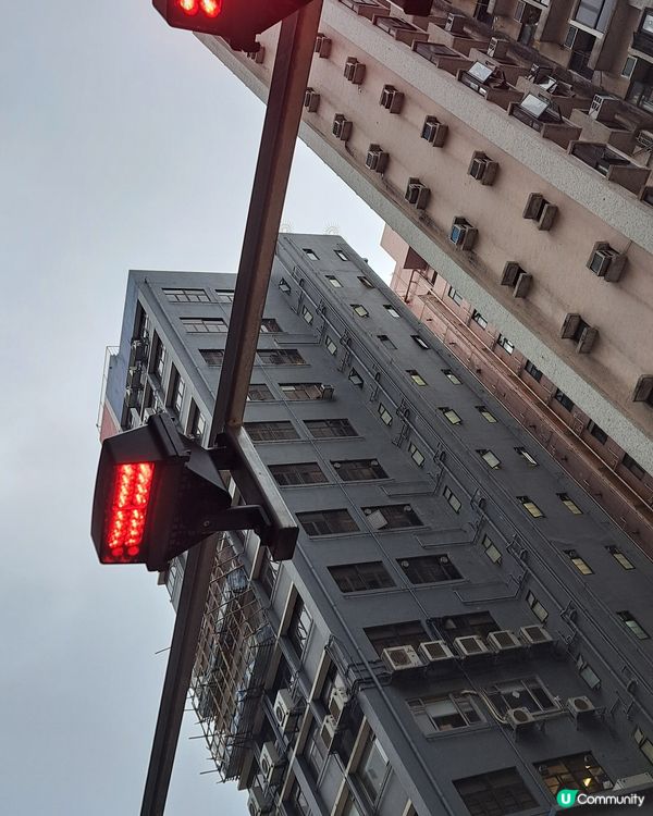 見紅就停下不要看手機亂過馬路
