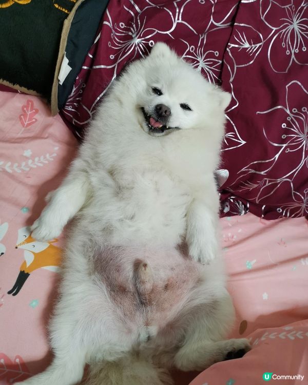 可愛笑容
