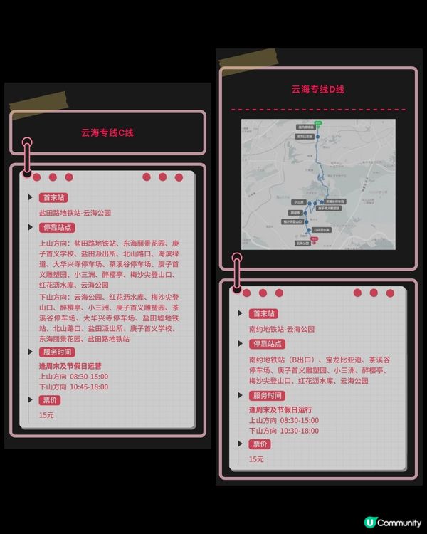 🌸小眾賞櫻路線 深圳隱世最大櫻花林🌸