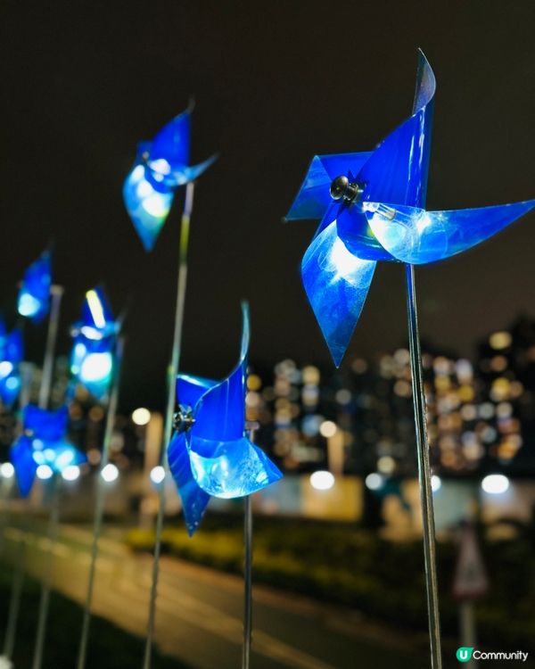 《將軍澳新地標「南橋」半日遊》✨