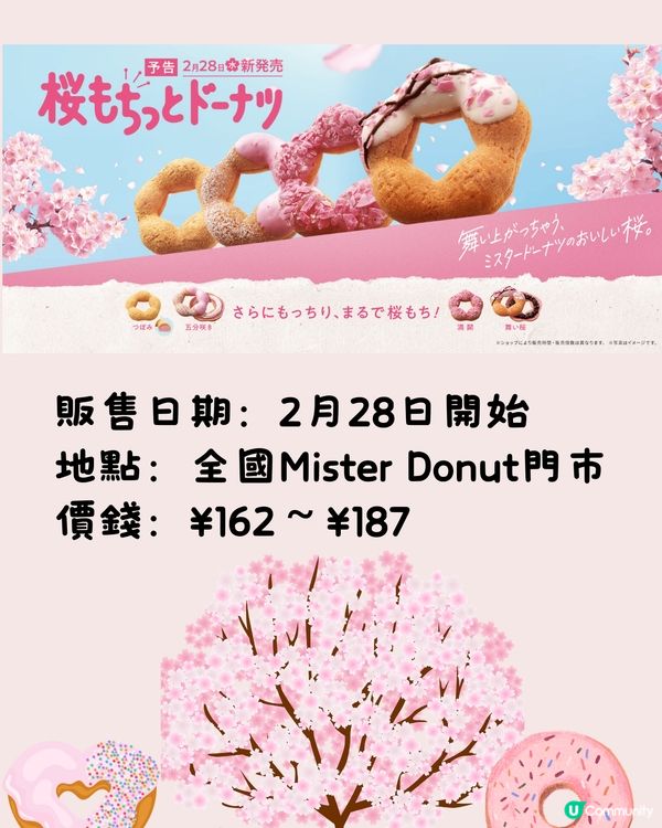 Mister Donut櫻花季新品🌸4種口味對應花期階段⁉️😍