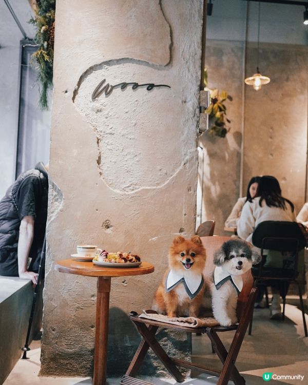 銅鑼灣寵物友善Cafe - WOOO COFFEE