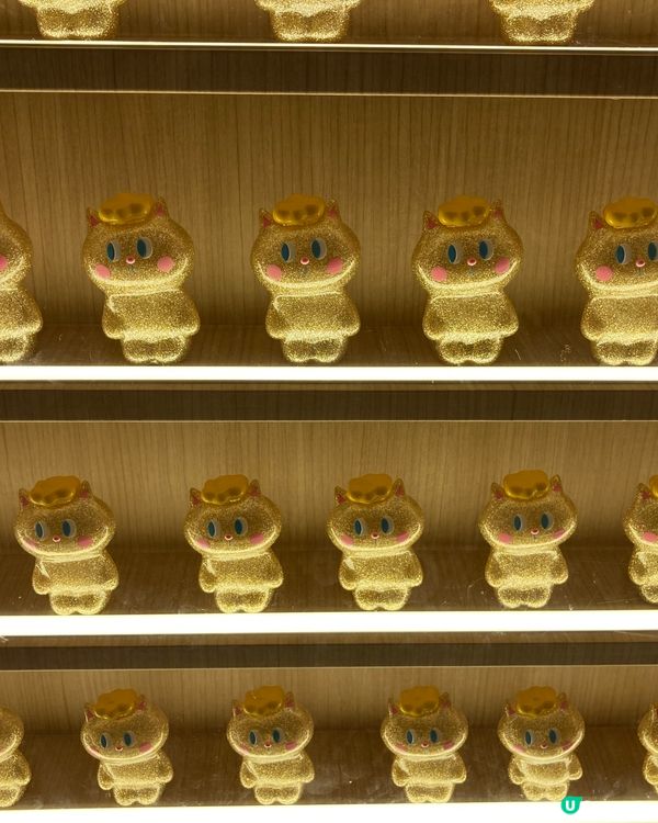 走在荃灣的日子