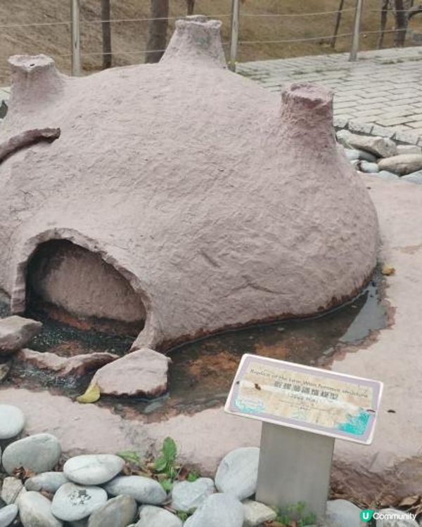 黃花風鈴木@機場風鈴徑