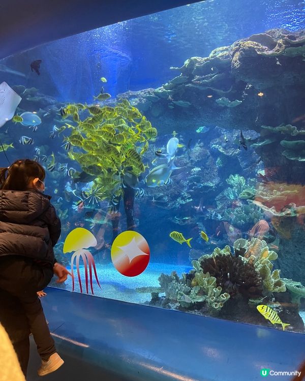深圳小型水族館