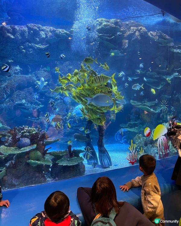 深圳小型水族館