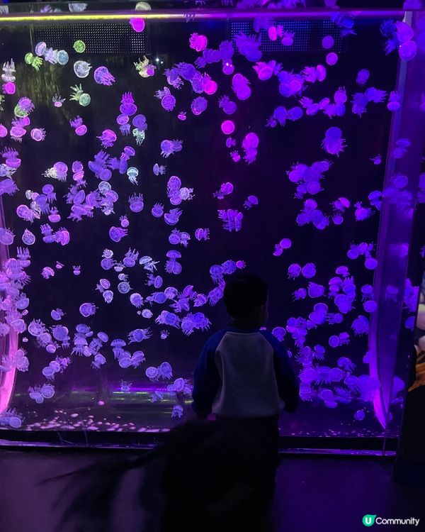 深圳小型水族館