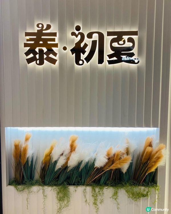 荃灣➡️➡️➡泰·初夏