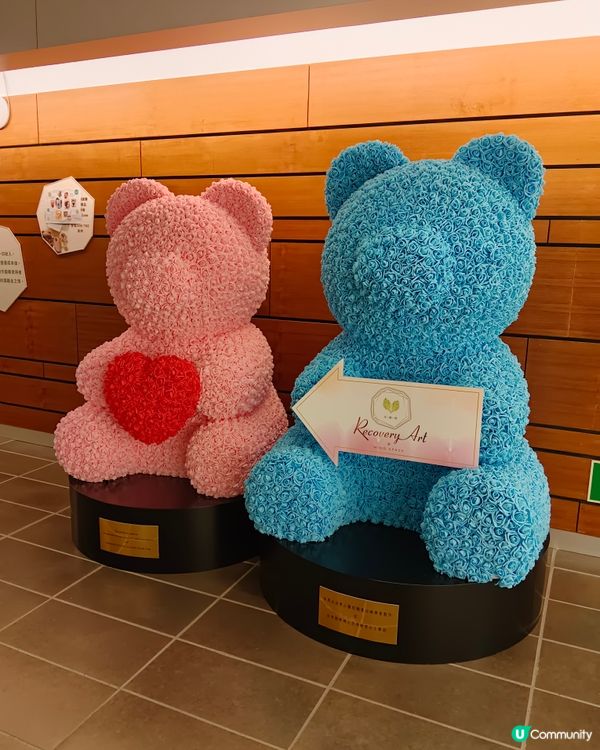 另類嘅參觀活動