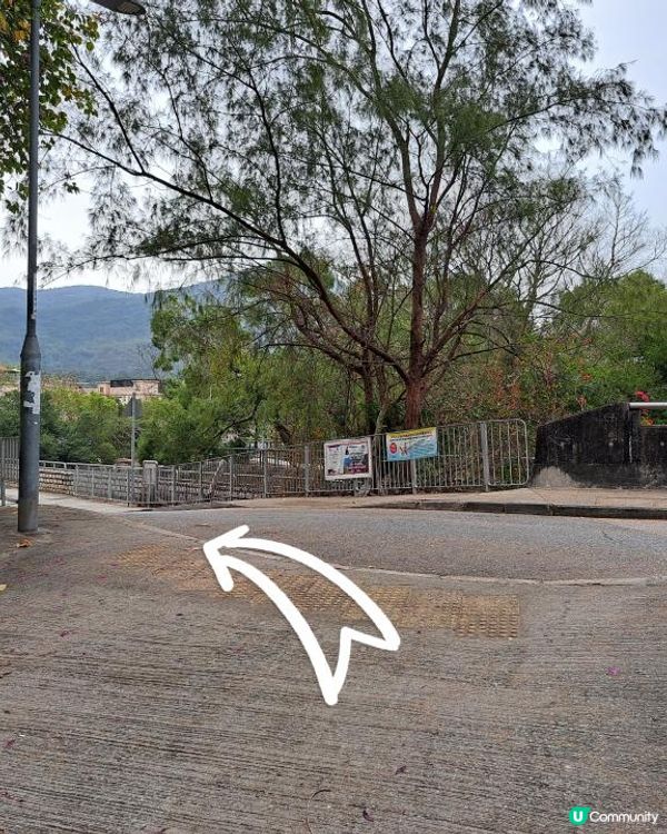 《大嶼山芝麻灣半島行山篇》老人西崖、廟仔墩