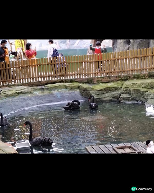 窩窩萌寵森友會