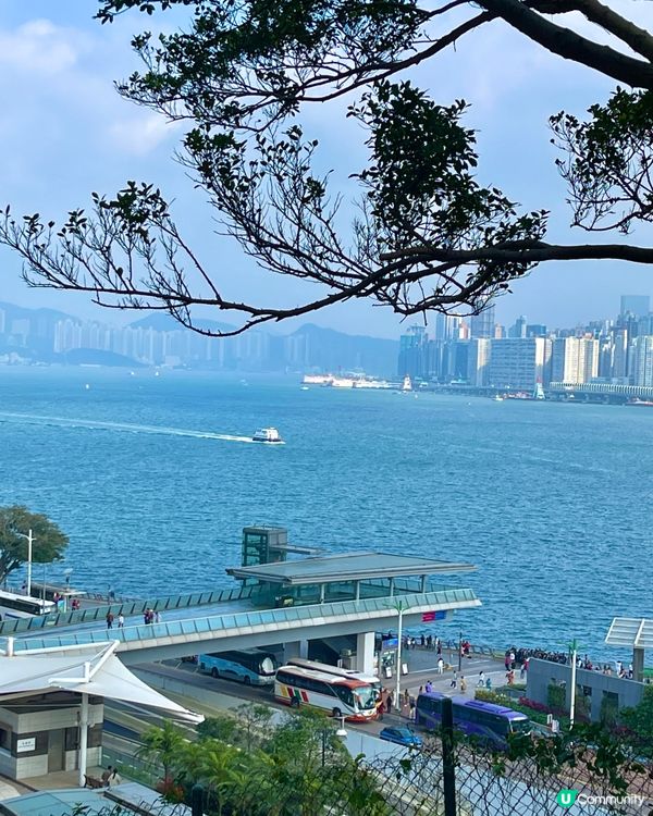 尖沙咀隐秘拍照打卡地 | 真的好chill