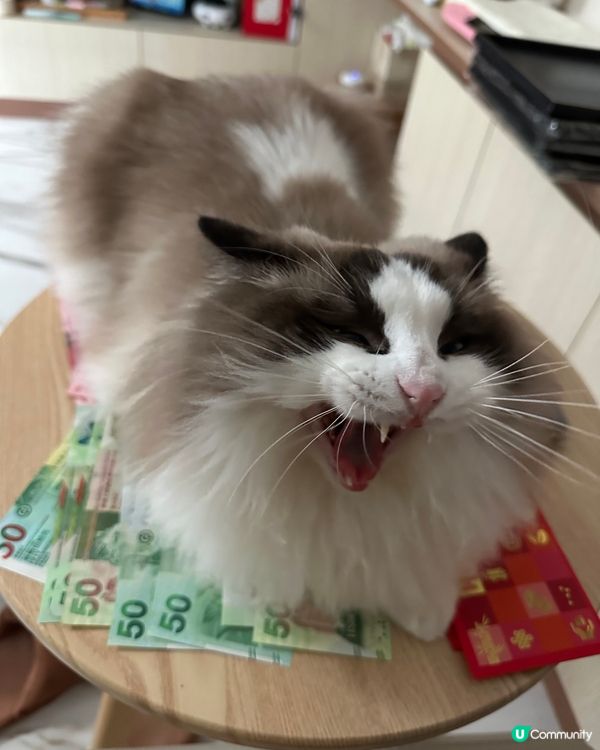 有3封都係你㗎😍