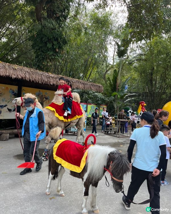 深圳野生動物園