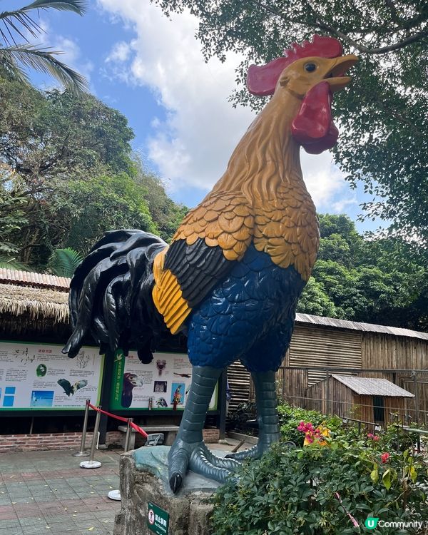 深圳野生動物園