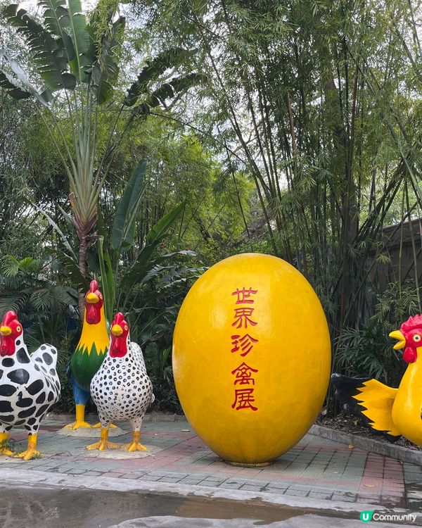 深圳野生動物園