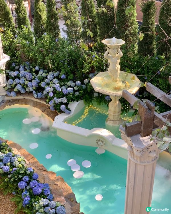 在深圳！莫奈花园💐被绣球围绕的浪漫花海！