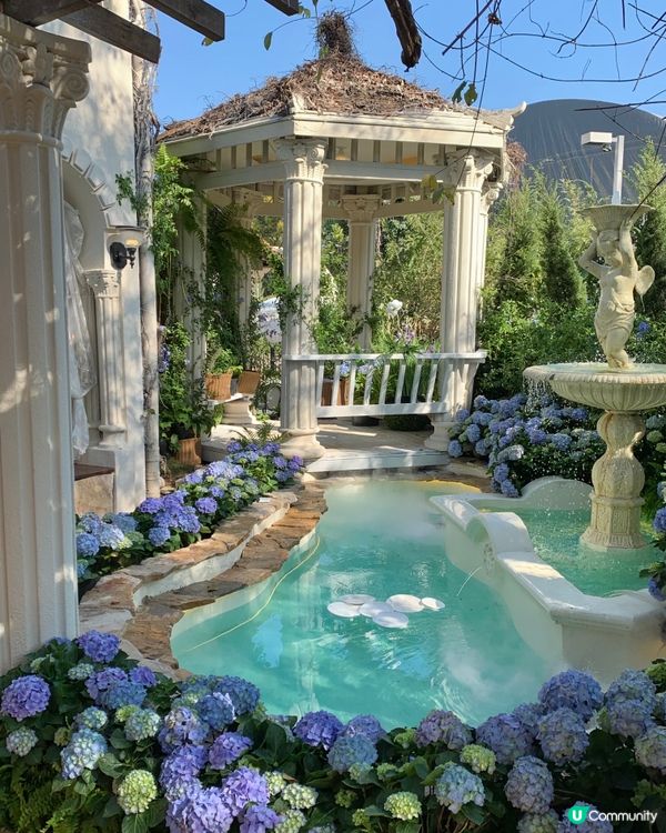 在深圳！莫奈花园💐被绣球围绕的浪漫花海！