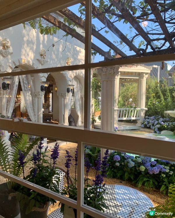 在深圳！莫奈花园💐被绣球围绕的浪漫花海！