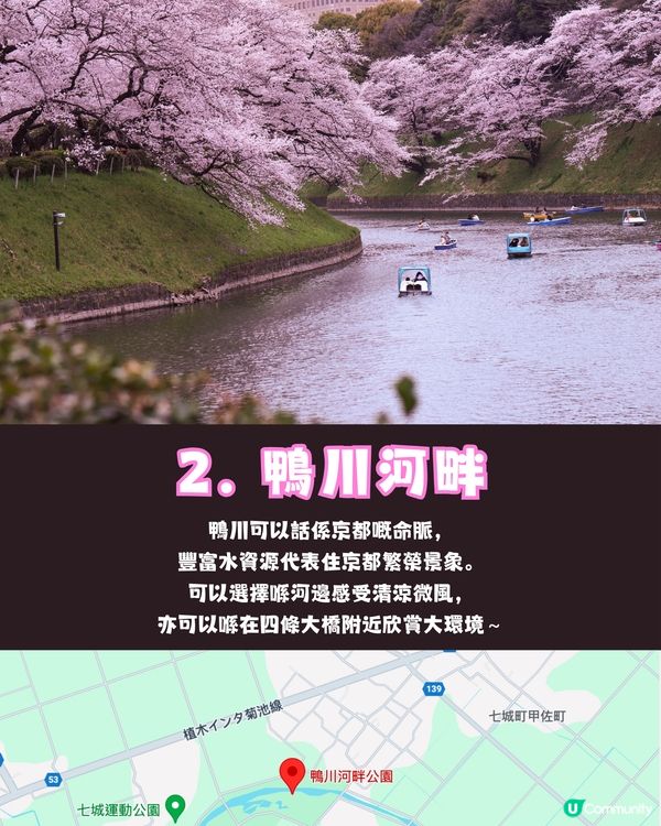 日本櫻花2025🌸第1回預測出爐！附京都8大賞櫻名所推介+輕鬆一日遊路線✨