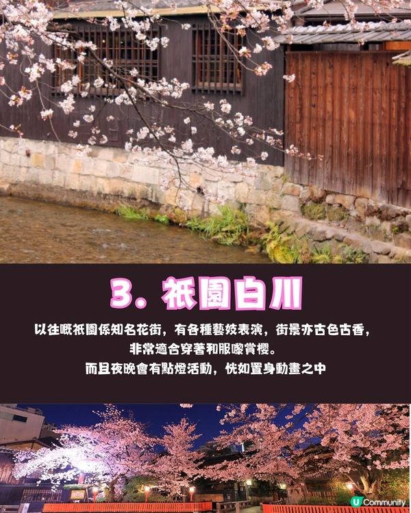 日本櫻花2025🌸第1回預測出爐！附京都8大賞櫻名所推介+輕鬆一日遊路線✨