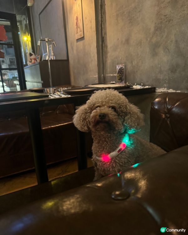 📍大圍｜音樂與酒、浪漫情調滿分的餐廳