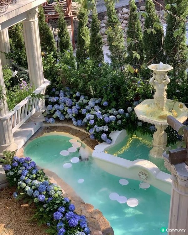 深圳這個地方好仙！