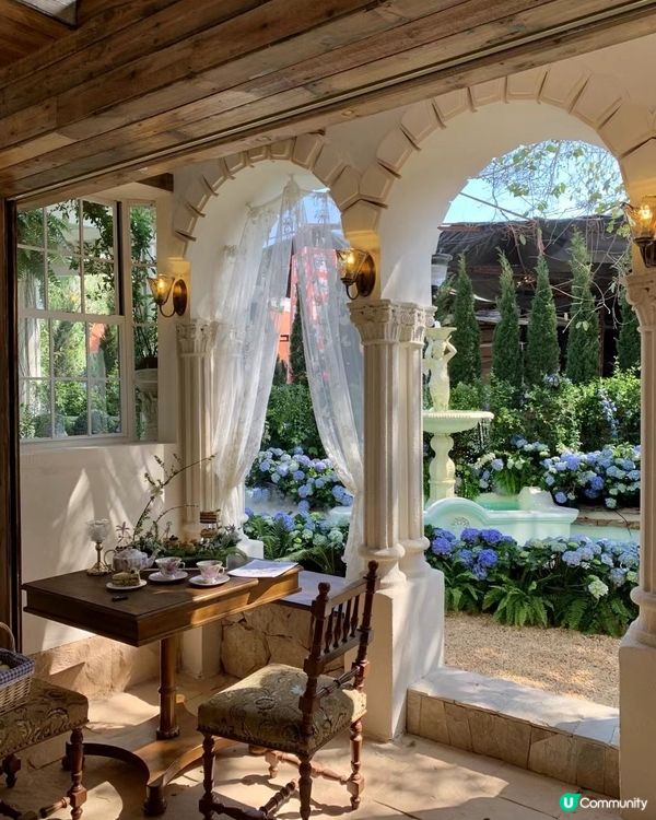 深圳這個地方好仙！