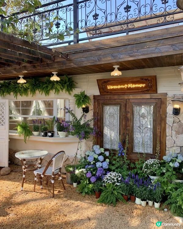 深圳這個地方好仙！