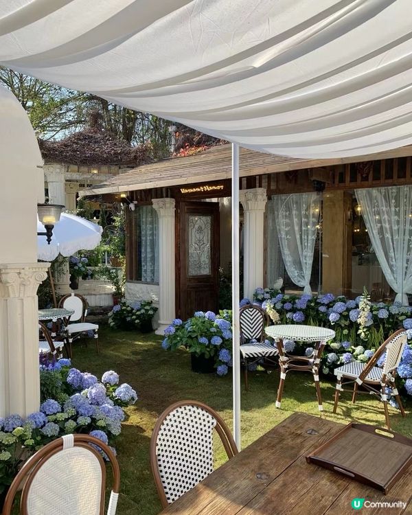 深圳這個地方好仙！