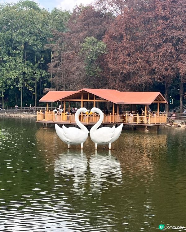 深圳野生動物園