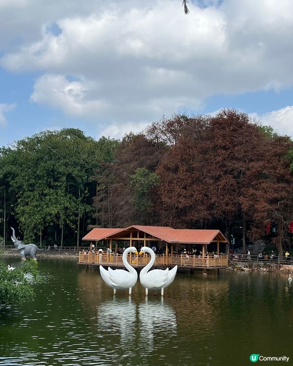 深圳野生動物園