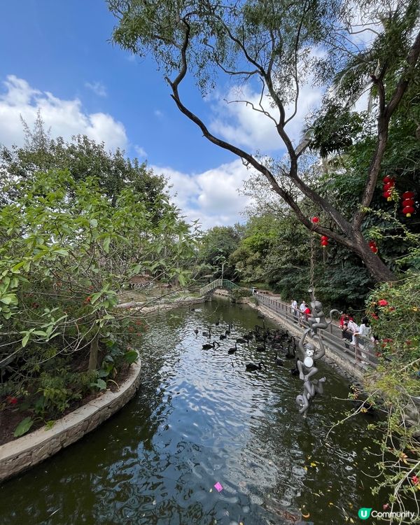 深圳野生動物園