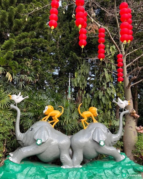 深圳野生動物園