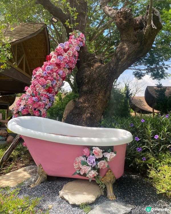 泰國版馬爾代夫打卡café